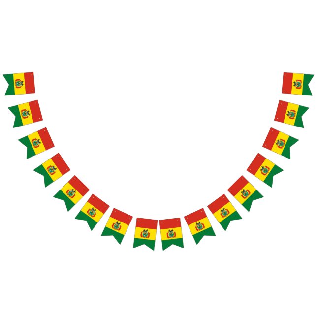 Bandera boliviana (Todo)