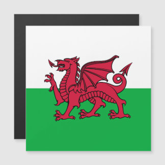 Bandera Celta del Dragón Rojo de Gales y galés