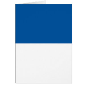 Bandera de Assen