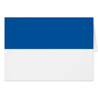 Bandera de Assen