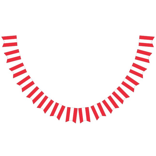 Bandera de Austria (Todo)