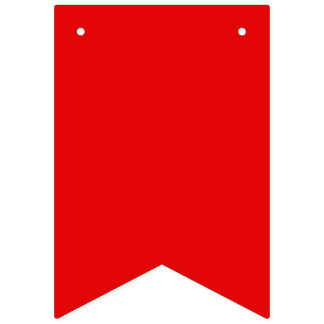 Bandera de banderines de orgullo gay y trans