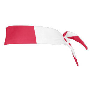 Bandera de Baviera con patrón de diamante rojo y b