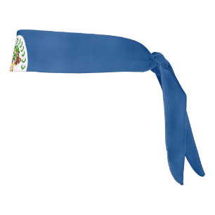 Bandera de Belice: Banda de cabeza
