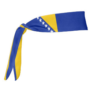 Bandera de Bosnia y Herzegovina elegante patriótic