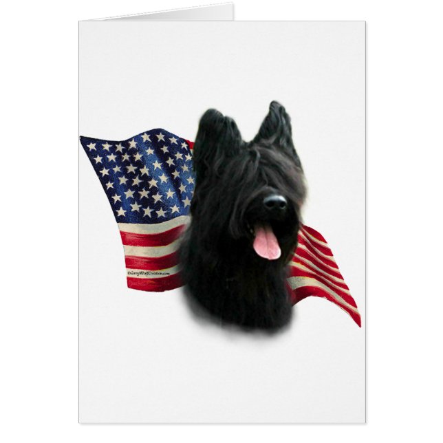 Bandera de Briard (Frente)