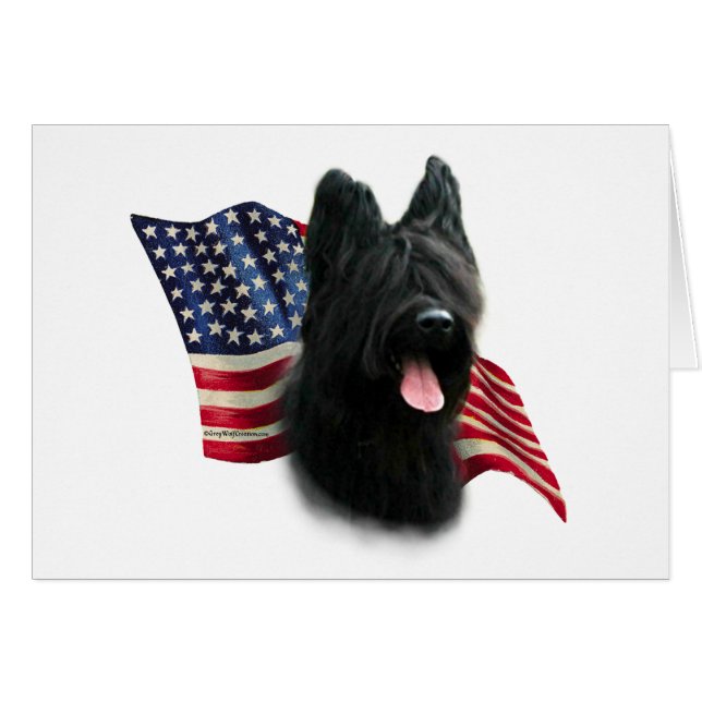 Bandera de Briard (Anverso (Horizontal))