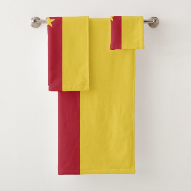 Bandera de Camerún (In situ)