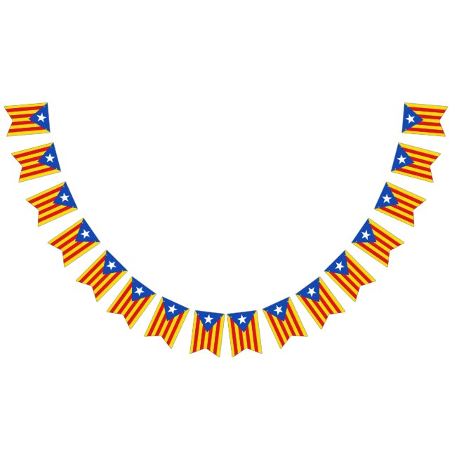 Bandera de Cataluña (Todo)