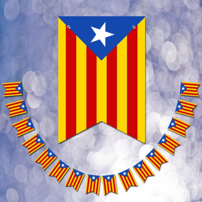 Bandera de Cataluña, Fiesta La Senyera Estelada/Bo (Subido por el creador)