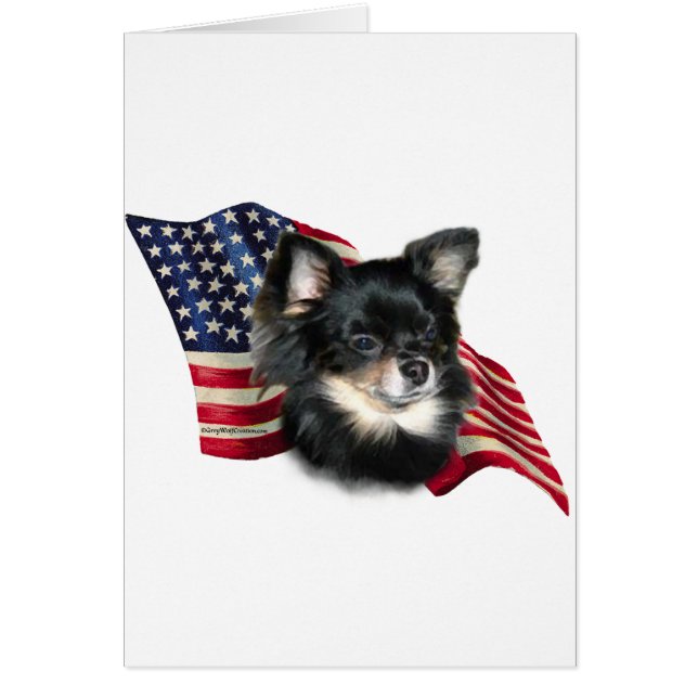 Bandera de Chihuahua (Frente)