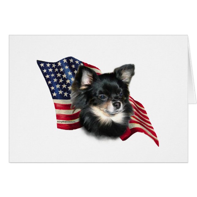 Bandera de Chihuahua (Anverso (Horizontal))