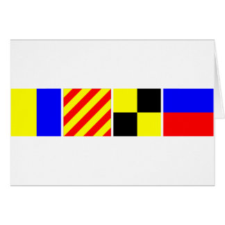 Bandera de código Kyle