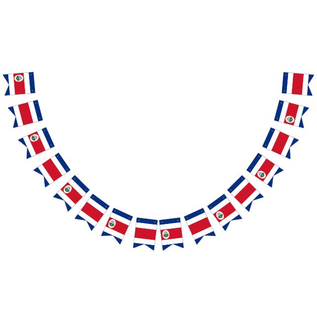 Bandera de Costa Rica (Todo)