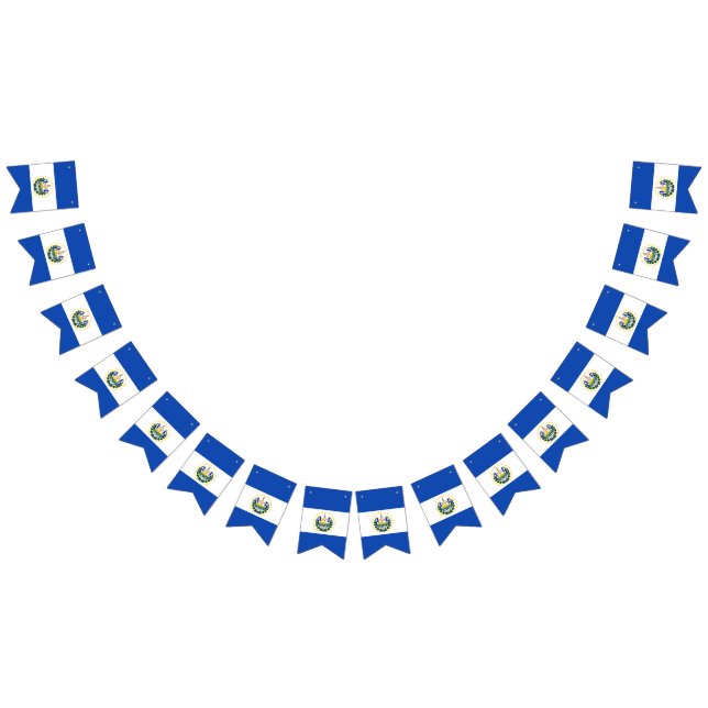 Bandera de El Salvador (Todo)