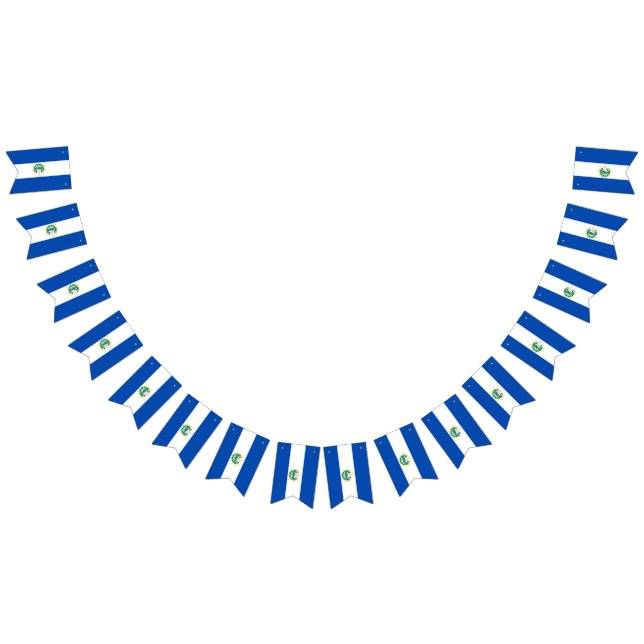 Bandera de El Salvador (Todo)