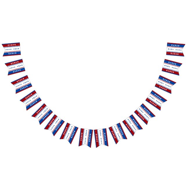 Bandera de encargo de la elección (Todo)