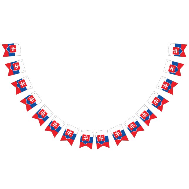 Bandera de Eslovaquia (Todo)