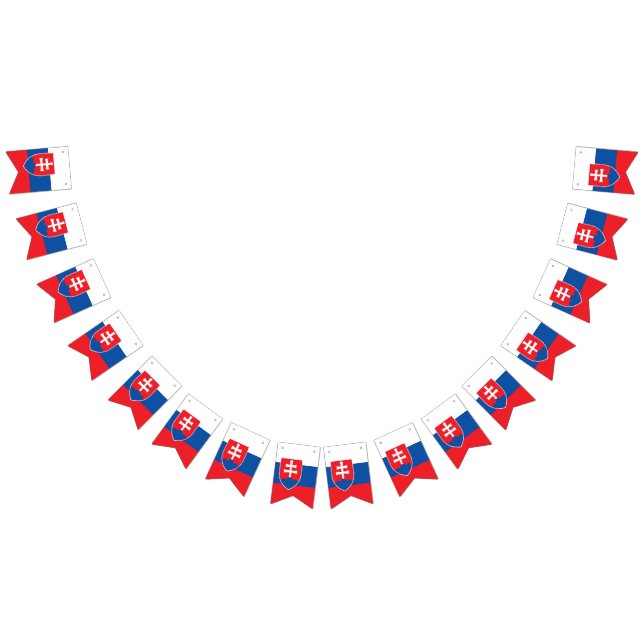 Bandera de Eslovaquia (Todo)