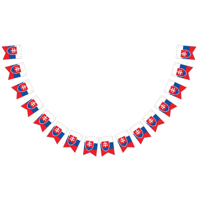 Bandera de Eslovaquia (Todo)