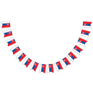 Bandera de Eslovaquia