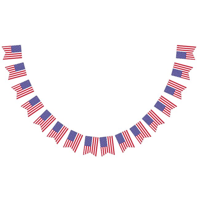 Bandera de Estados Unidos (Todo)