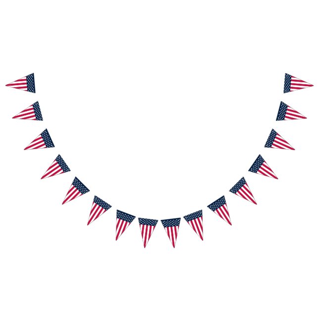 Bandera de Estados Unidos con estrellas y franjas (Todo)