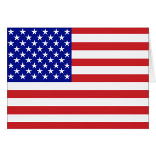 Bandera de Estados Unidos de 50 estrellas