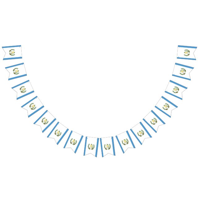 Bandera de Guatemala (Todo)