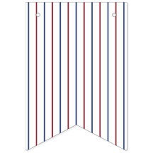 Bandera de guirnalda de rayas finas rojas y azules