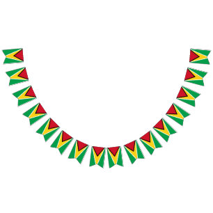 Bandera de Guyana