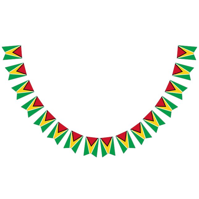 Bandera de Guyana (Todo)