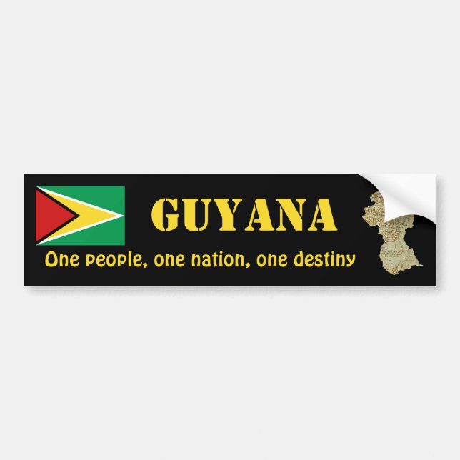 Bandera de Guyana + Pegatina para el parachoques (Frente)