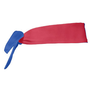 Bandera de Harenkarspel