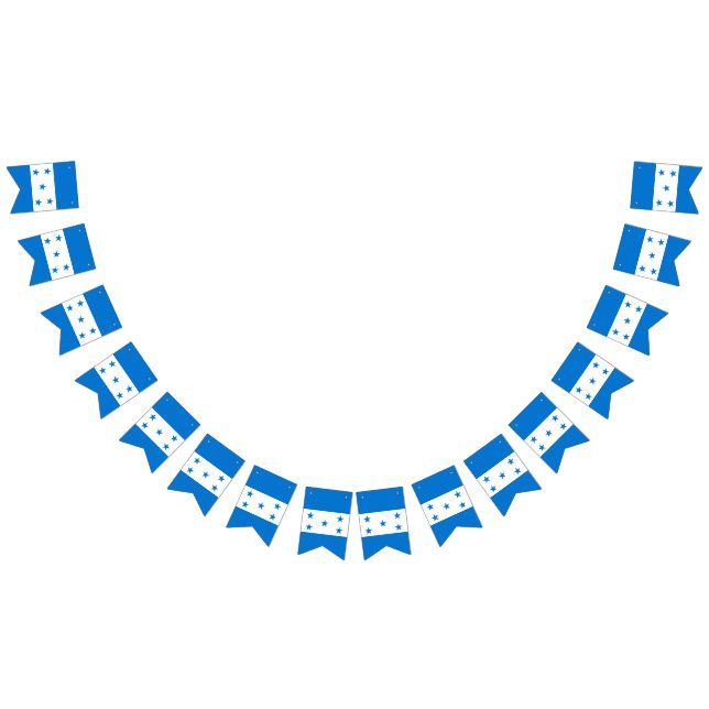 Bandera de Honduras (Todo)