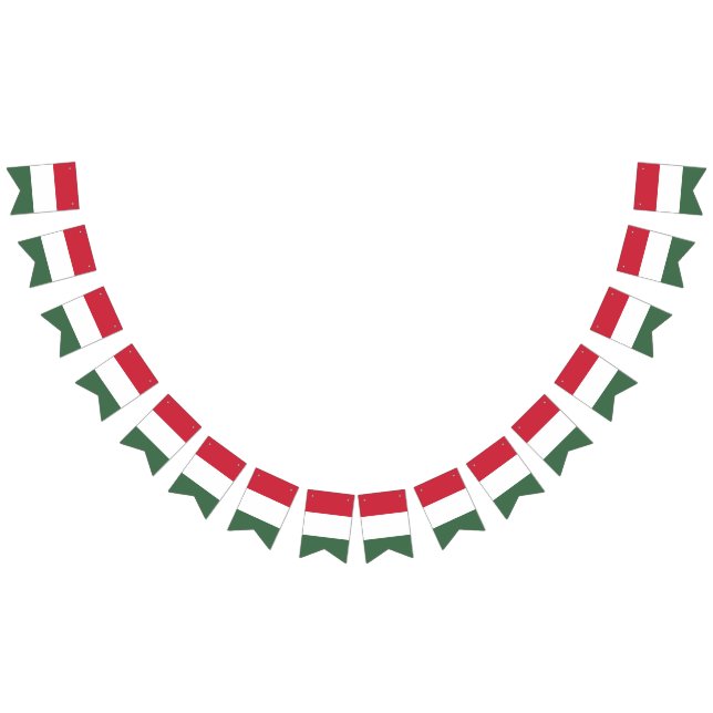Bandera de Hungría (Todo)