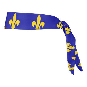 Bandera de Ile de france Banda de cabeza