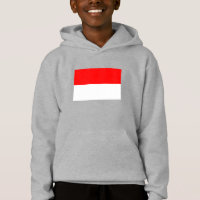 Bandera de Indonesia
