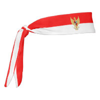 Bandera de Indonesia elegante patriota
