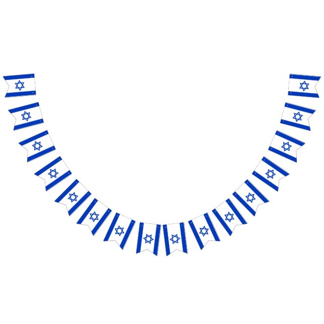 Bandera de Israel (Todo)