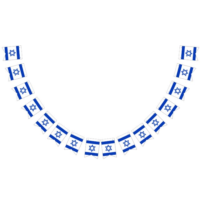 Bandera de Israel (Todo)