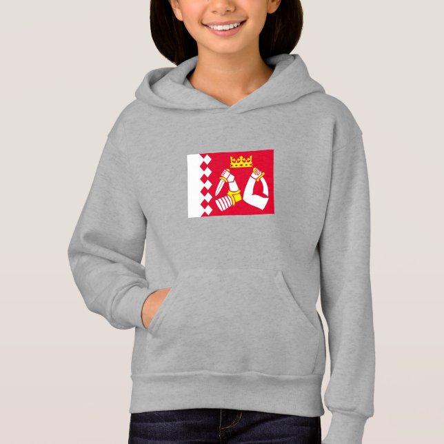 Bandera de Karelia del Norte (Anverso)