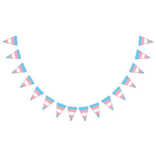 Bandera de la bandera del orgullo del transexual