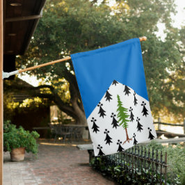 Bandera de la casa de SCA Crosston