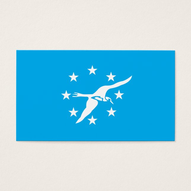 Bandera de la ciudad de Corpus Christi (Frente)