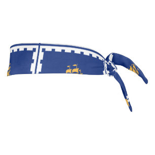 Bandera de la ciudad de Quebec