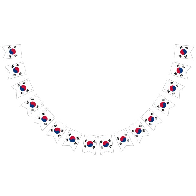 Bandera de la Corea del Sur (Todo)