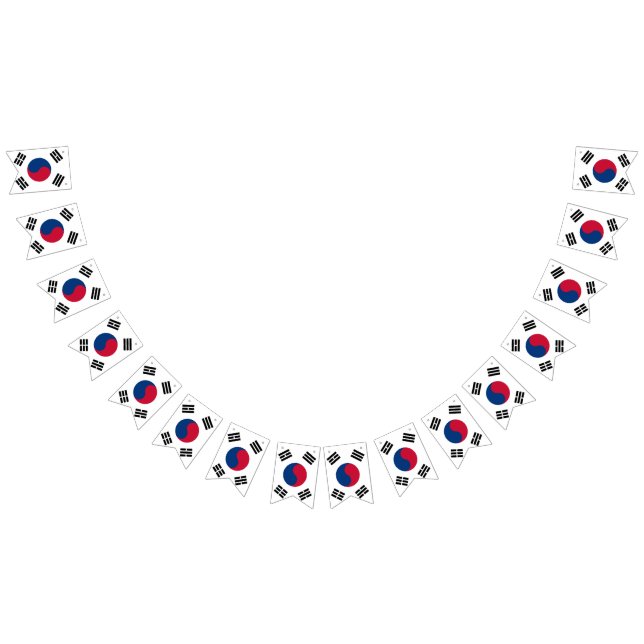 Bandera de la Corea del Sur (Todo)