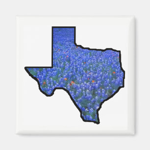 Bandera de la forma del estado de Texas y el imán