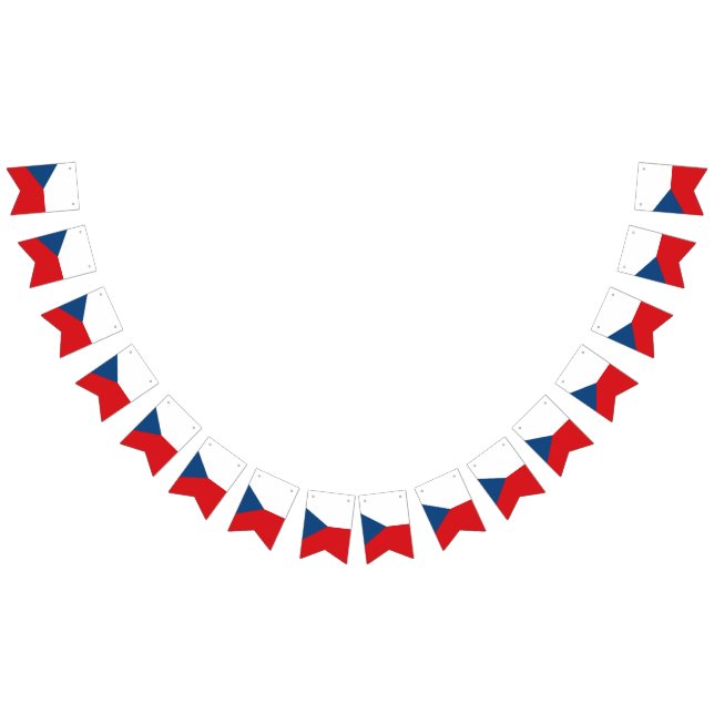 Bandera de la República Checa (Todo)